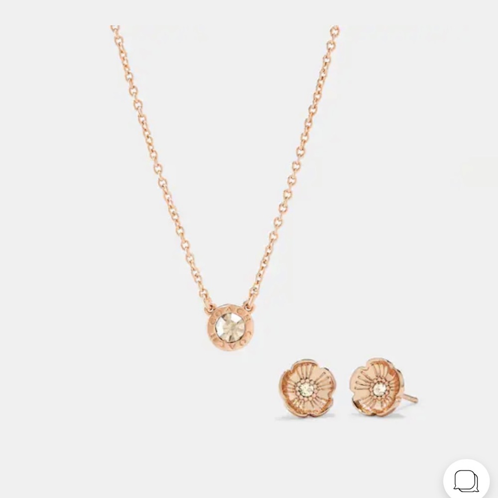 Coach earrings and necklace set.